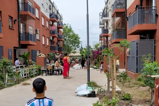 Un niño mira una calle donde la gente está plantando nuevas plantas.