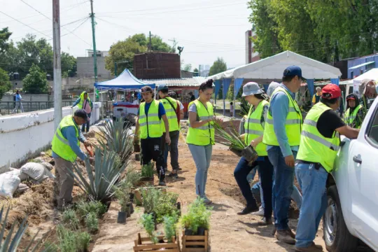 A group of people plant trees along the roadside