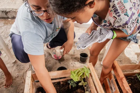 Organic vegetable gardens workshop in Comunidade do Pilar, Recife, Brazil