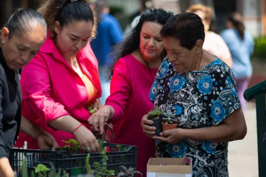 Mujeres sacando plantas de una caja