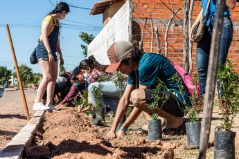 Pessoas plantam sementes de árvores ao lado de uma via.