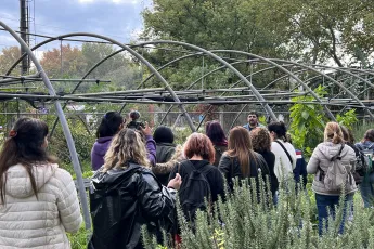 A group of people walk through a vegetable garden. 