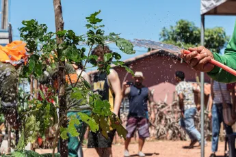 Watering a plant with people in the background