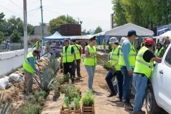 Un grupo de personas planta árboles junto a la carretera