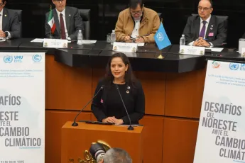 Una mujer en un salón del gobierno dando una presentación.