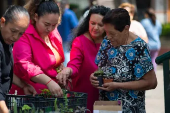 Mujeres sacando plantas de una caja