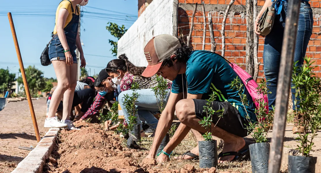 Pessoas plantam sementes de árvores ao lado de uma via.